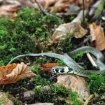 IMG_20250921_121314768_HDR