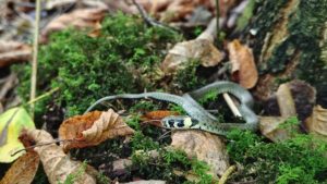 IMG_20250921_121314768_HDR